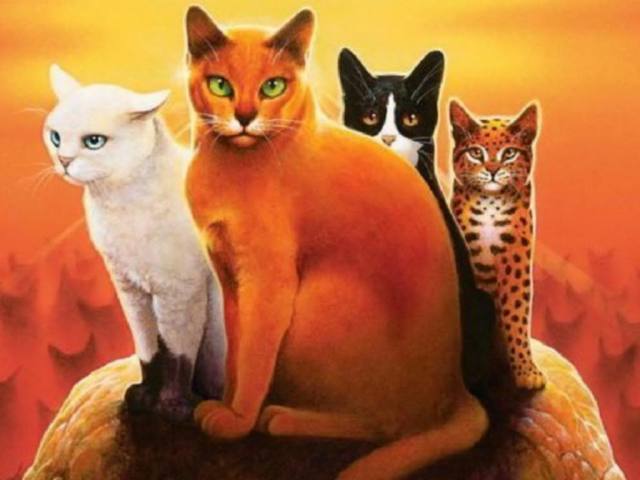 Livro - Gatos Guerreiros - Na Floresta - Col. Gatos Guerreiros, V.1 - Hunter